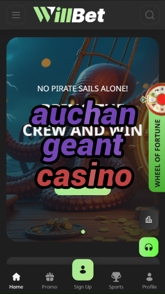 auchan geant casino-asdasdzhjkds.com