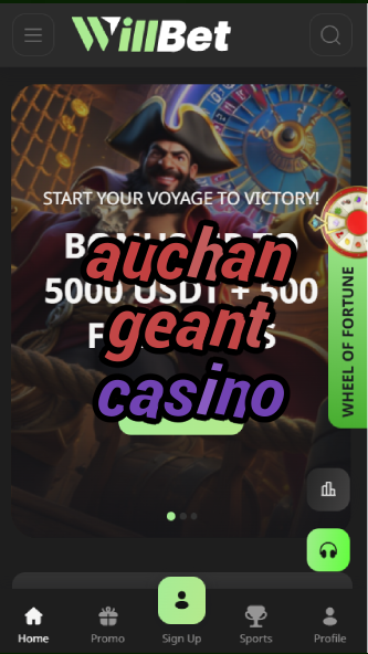 auchan geant casino-asdasdzhjkds.com